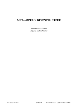 méta-merlin désenchanteur