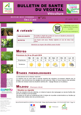 bulletin de sante du vegetal - DRAAF Languedoc