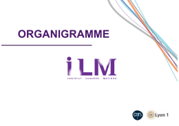 organigramme - Institut Lumière Matière