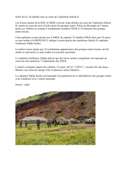 Nord- Kivu: 20 rebelles tués au cours de l`opération Sokola II.