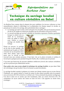 Sarclage localise en culture cerealiere au Sahel