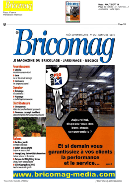 wiAf.bricomag-media.com