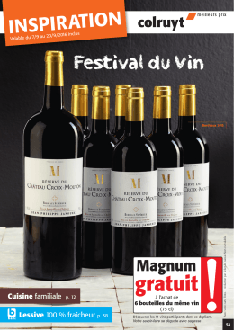 Festival du Vin