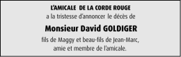 Monsieur David GOLDIGER