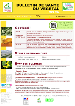 bulletin de sante du vegetal - DRAAF Languedoc