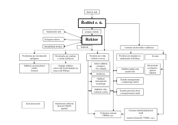 Organizační struktura (schéma)