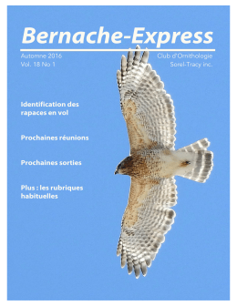 Bernache-Express - Club d`Ornithologie de Sorel