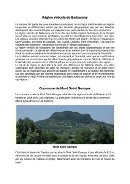 Région vinicole de Badacsony Commune de Mont Saint Georges