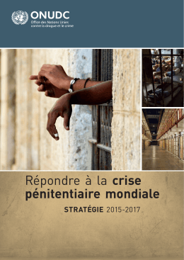 Stratégie 2015-2017 - United Nations Office on Drugs and Crime