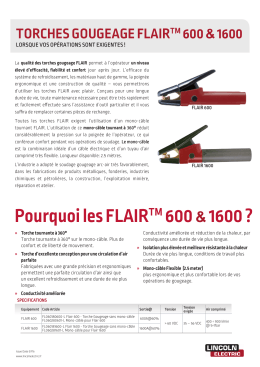 Flair 600 and 1600