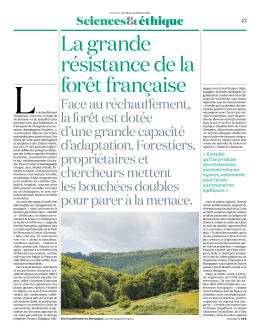 La grande résistance de la forêt française