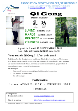 InfoReprise qiGong 2016 2017 - AS CEA ST Grenoble