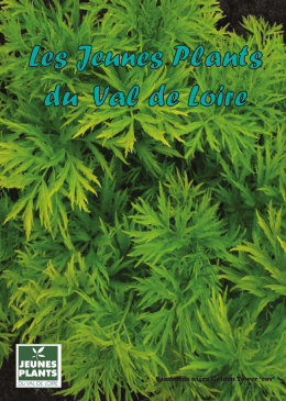 Notre catalogue - Jeunes Plants du Val de Loire