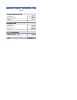 Sommaire des dépenses annuelles 2013