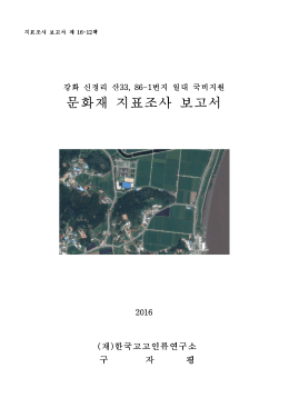 강화 신정리 산33, 86-1번지 국비지원 문화재 지표조사 보고서.hwp