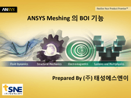ANSYS Meshing 의 BOI 기능 Prepared By