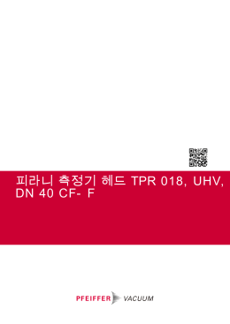 피라니 측정기 헤드 TPR 018, UHV, DN 40 CF-F