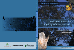 Jenis-jenis Kelelawar Khas Agroforest Sumatera (PDF