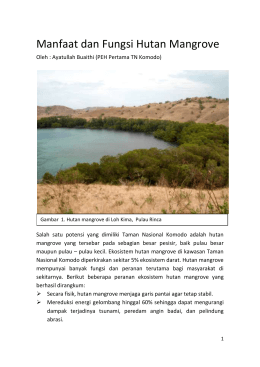 Manfaat dan Fungsi Hutan Mangrove - komodo