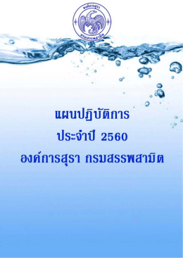 แผนปฏิบัติการประจำปี 2560