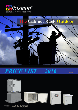 the cabinet outdoor 19” wall rack mount outdoor