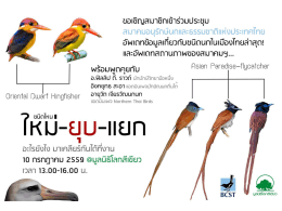 BCST Species Update - สมาคมอนุรักษ์นกและธรรมชาติแห่งประเทศไทย