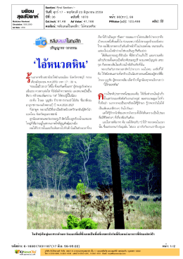 คอลัมน์หลังเลนส์ในดงลึก : “ไอ้หนวดหิน”