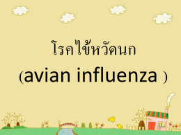 โรคไข้หวัดนก (avian influenza )