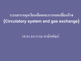 ระบบการหมุนเวียนเลือด (Circulatory system)