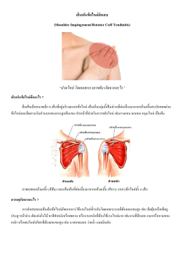 เส้นเอ็นข้อไหล่อักเสบ (Shoulder Impingement/Rotator Cuff Tendinitis