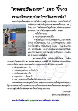 การแก้ปัญหาขี้ขาวภาคตะวันออก - Shrimpcenter ศูนย์ข้อมูลกุ้งของไทย