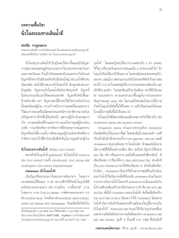 นิ่วในระบบทางเดินน้ำาดี - Royal Thai Army Medical Journal