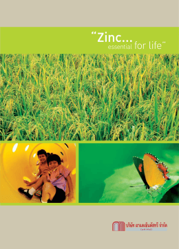 Zinc... - บริษัท ผาแดงอินดัสทรี จำกัด (มหาชน)