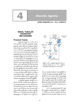 RENAL TUBULAR TRANSPORT MECHANISMS Proximal Tubule