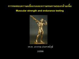 การทดสอบความแข็งแรงและความทนทานของกล้ามเนื้อ Muscular strength