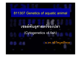 811307 Genetics of aquatic animal เซลล  พันธุศาสตร  ของปลา