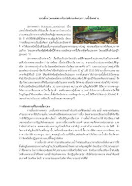การเลี้ยงปลากด หลวงในบ่อซีเมนต์ - ศูนย์ศึกษาการพัฒนาห้วยฮ่องไคร้ฯ