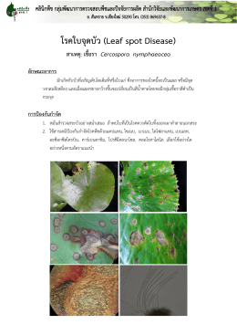 โรคใบจุดบัว (Leaf spot Disease)
