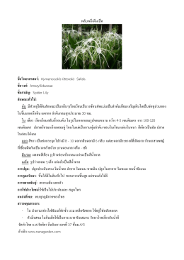 เอกสารข้อมูลพืชศึกษา PDF