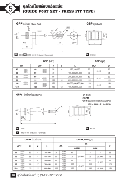 ชุดไกด์โพสท์แบบอัดแน่น (GUIDE POST SET