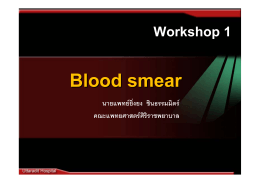 08-07-2553 Blood Smear อ.ยิ่งยง