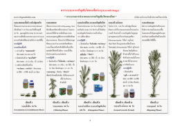 ตารางระยะการเจริญเติบโตของพืชต่างๆ (Growth Stage)