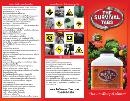 The Survival Tabs - Brochure Thai 8-13-14