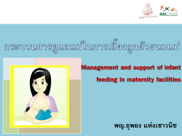 Thai Breastfeeding Center Foundation 2012