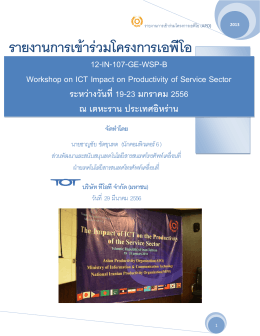 Workshop on ICT Impact on Productivity of Service Sector