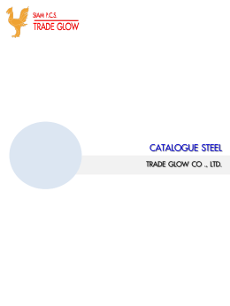 CATALOGUE STEEL