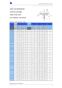 บริษัท ค  าเหล็กไทย จํากัด (มหาชน) Ultimate Steel Solutions