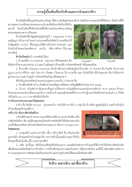 รัก ช้าง สงสาร ช้าง อย่า ซื้อ งาช้าง - ระบบจัดเก็บและบริการข้อมูลทะเบียน