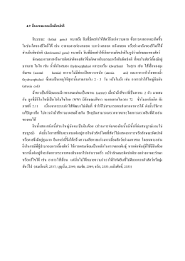 4.9 ยีนมรณะและยีนผิดปกติ ยีนมรณะ (lethal gene) หมายถึง