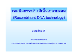 เทคนิคการสร  างดีเอ็นเอสายผสม (Recombinant DNA technology)